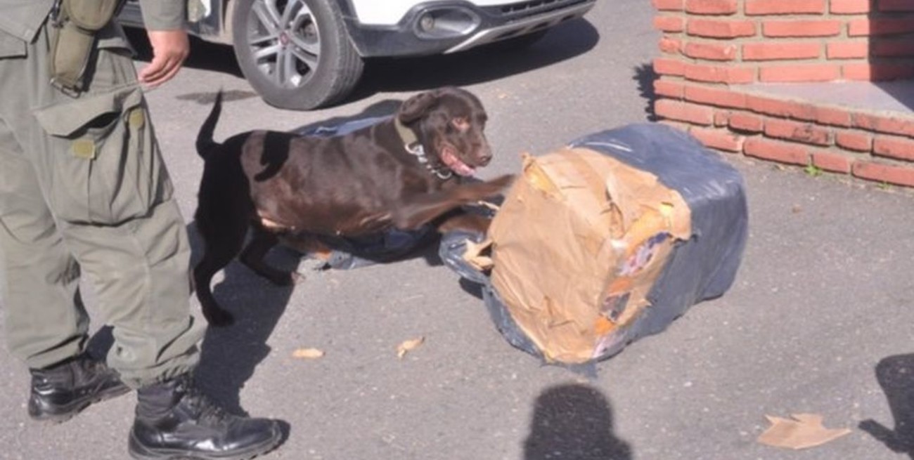 Intentaron enviar 60 kilos de cocaína entre juguetes en Tucumán