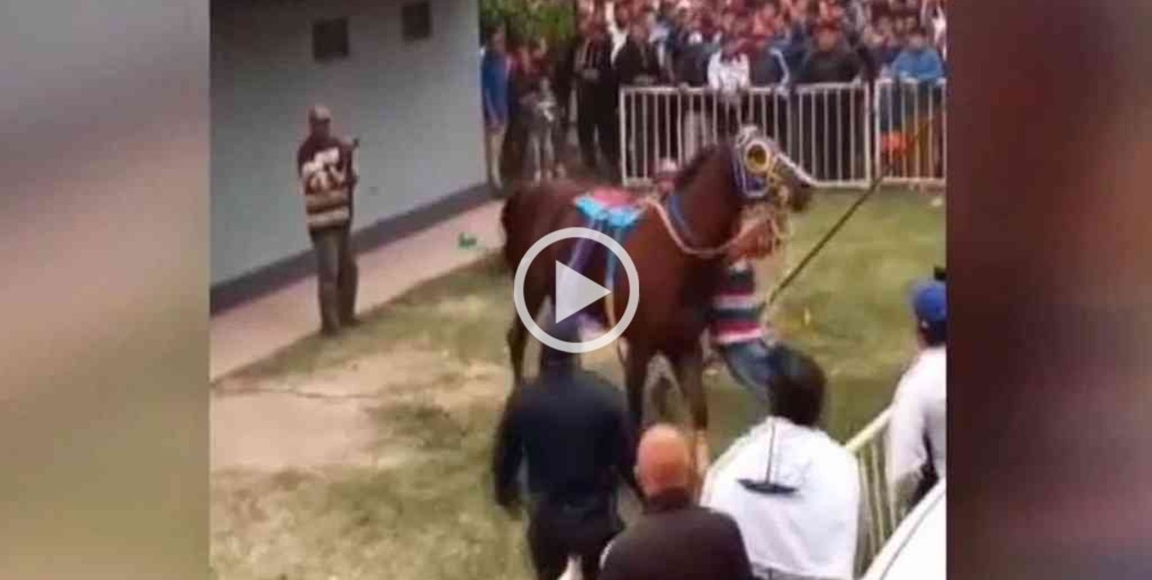 Video: un caballo causó pánico en el Hipódromo de Santiago del Estero