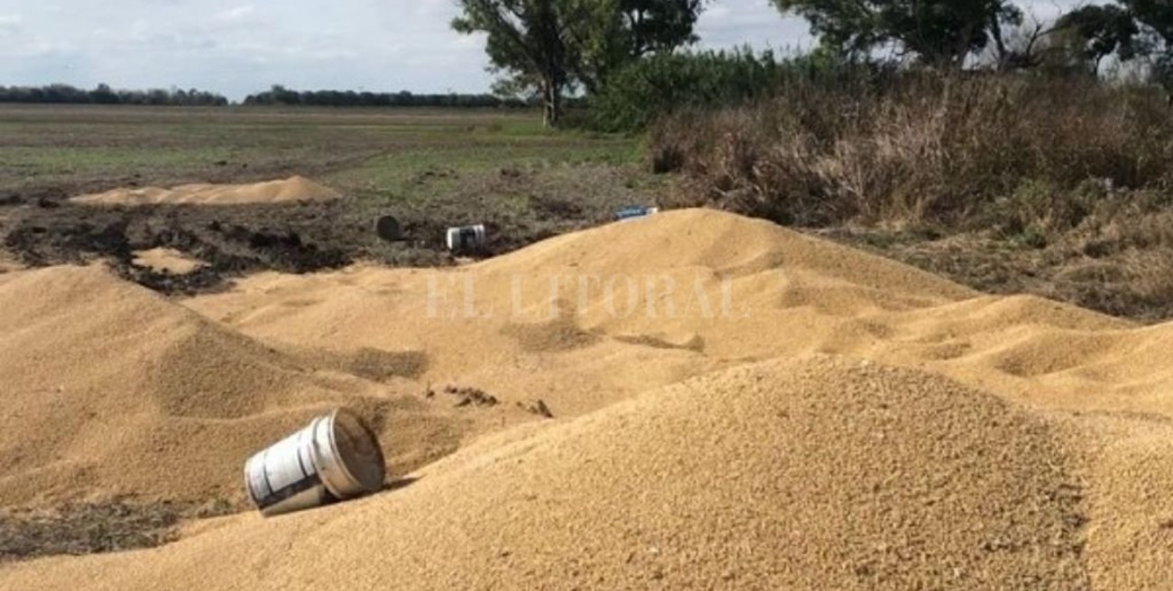 Frontera caliente en Córdoba: otra vez atacan silobolsas en Josefina