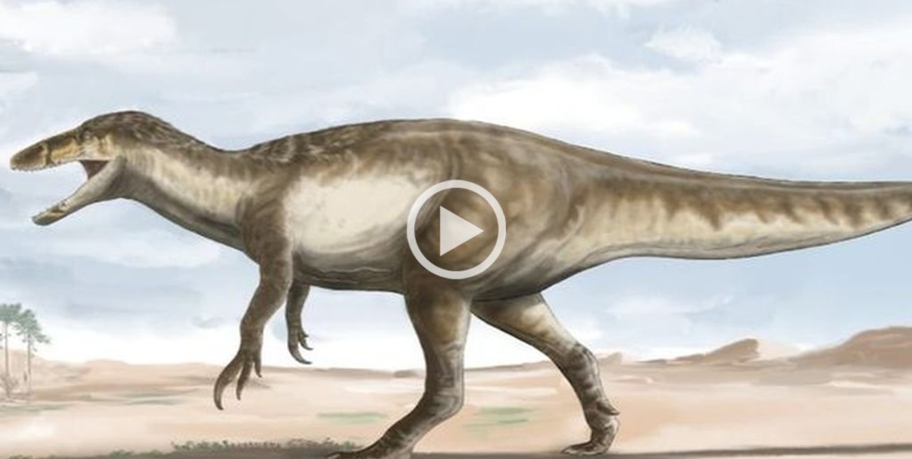 Así era Maip macrothorax, el enorme depredador carnívoro descubierto por investigadores argentinos