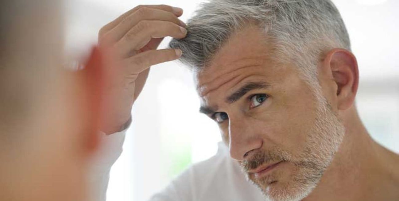 Estas son las razones detrás de las canas, según expertos de Harvard