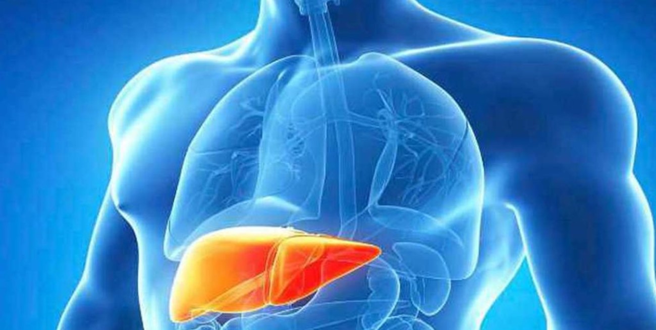 Llegó a la Argentina: qué es la hepatitis aguda grave y cuáles son los síntomas