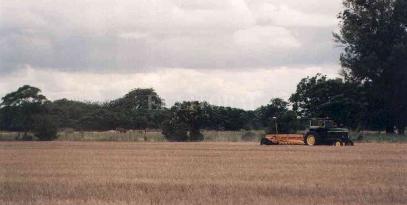 Un productor sufrió tres robos y teme por su seguridad: "El ladrón salió de la comisaría antes que yo"