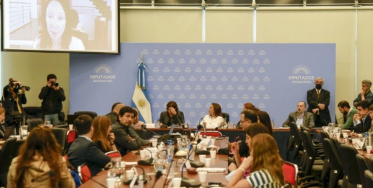 Cerró la ronda de expositores por la Ley de Alquileres en Diputados