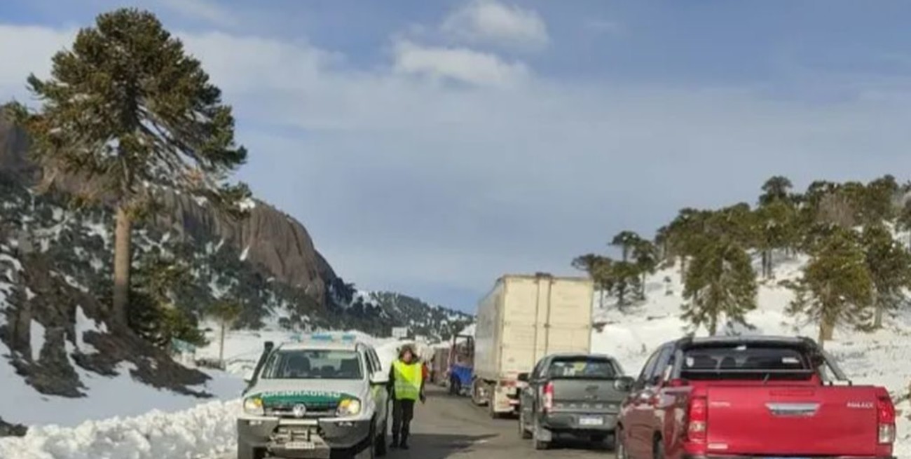 Largas filas para pasar a Chile, tras la reapertura de los pasos fronterizos Samoré y Pino Hachado