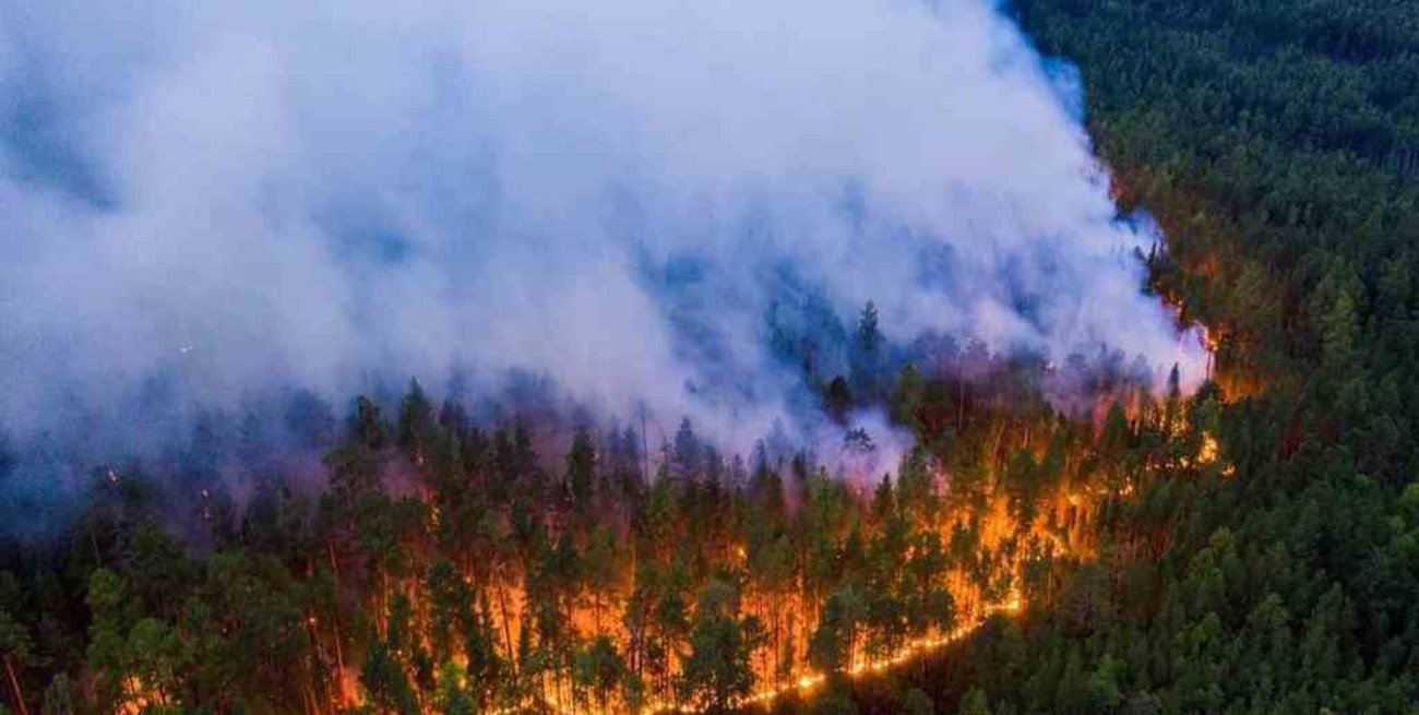 Al menos cinco muertos y unos 200 edificios afectados por incendios forestales en Siberia