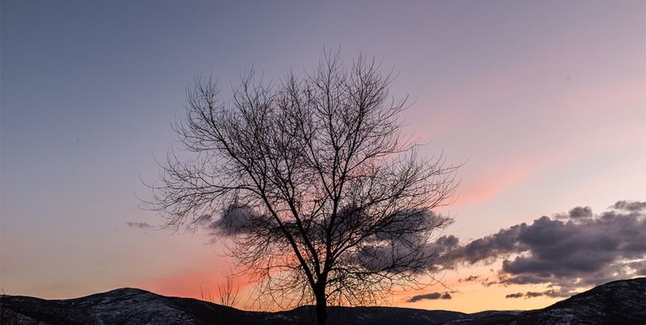 Línea directa: "Carpeta extraviada con documentación", "Gasto político" y otros mensajes