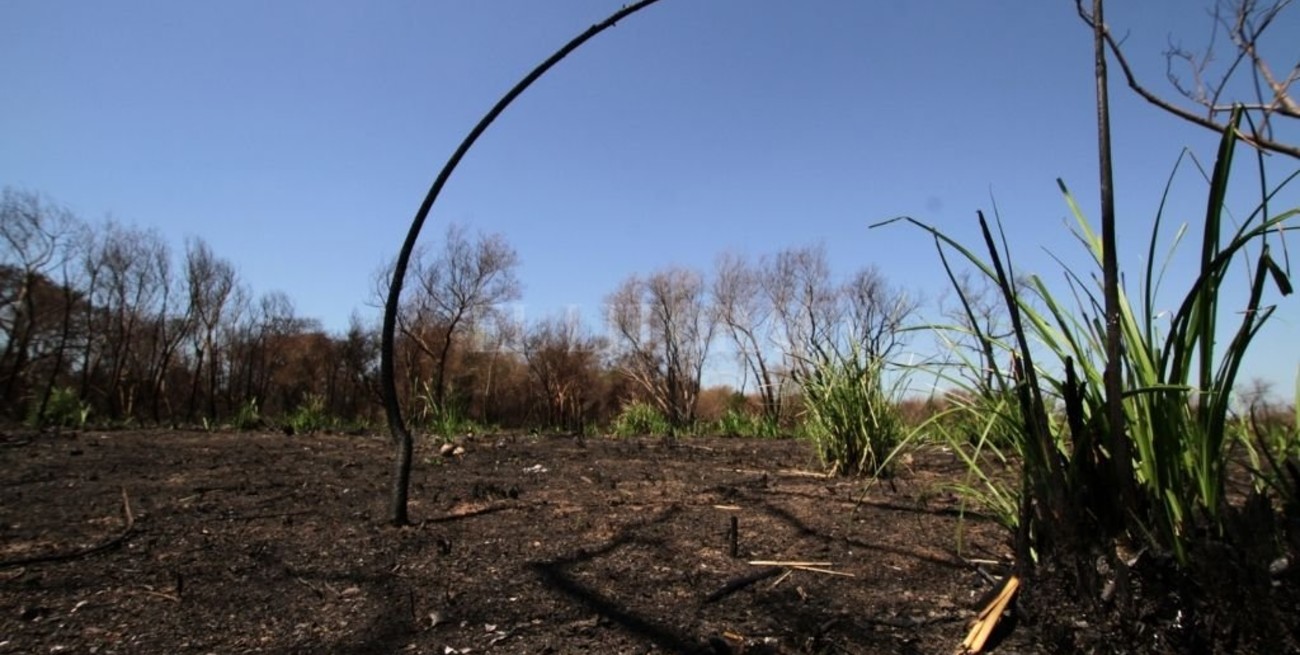 La Tierra se calienta más rápido de lo esperado y en 5 años llegaría al límite de "aumento no deseado"
