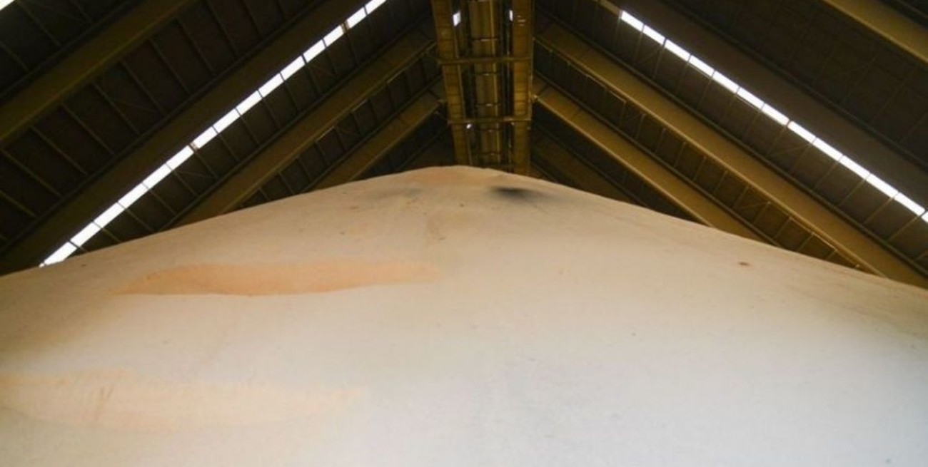 La soja se muele a media máquina