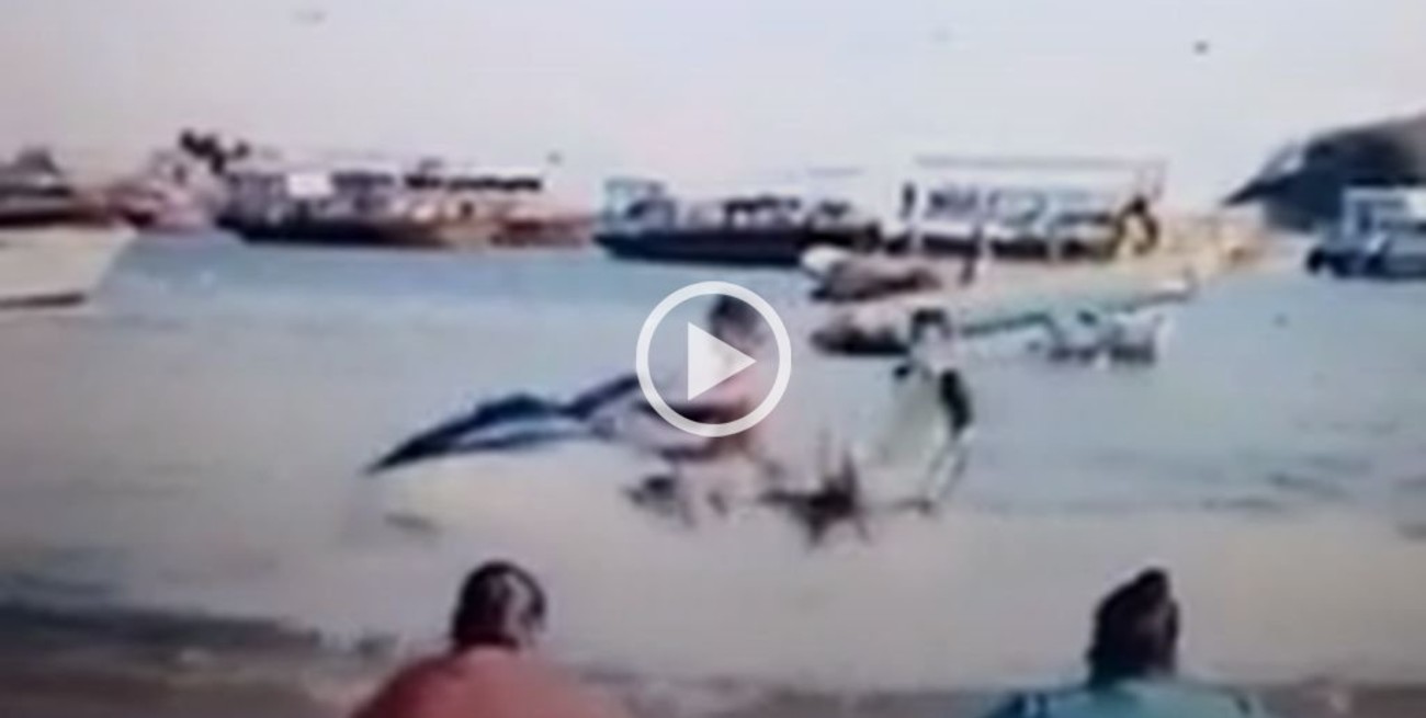 Video: así asesinaban al fiscal paraguayo Marcelo Pecci en Colombia