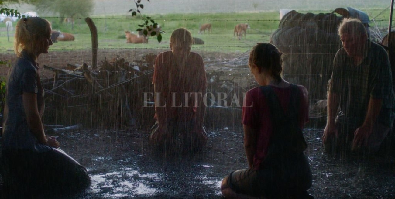 Novedades en los cines 