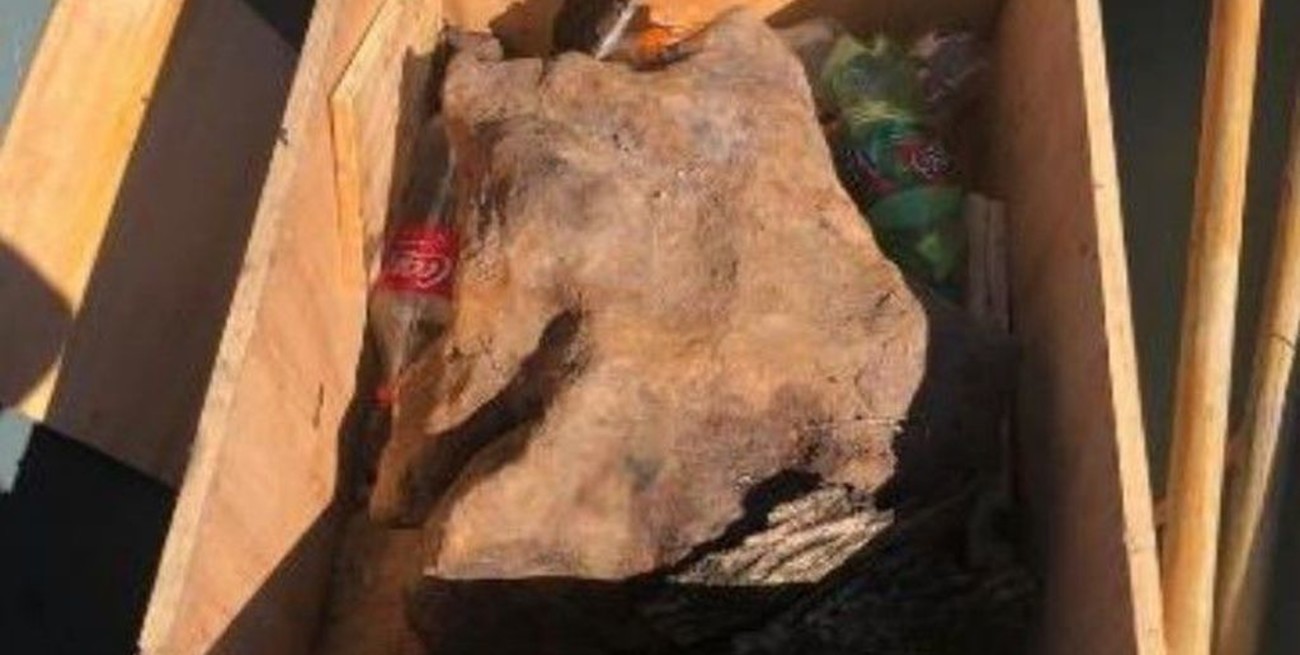 Detuvieron en Colón al sospechoso por contrabando del meteorito incautado en Paysandú