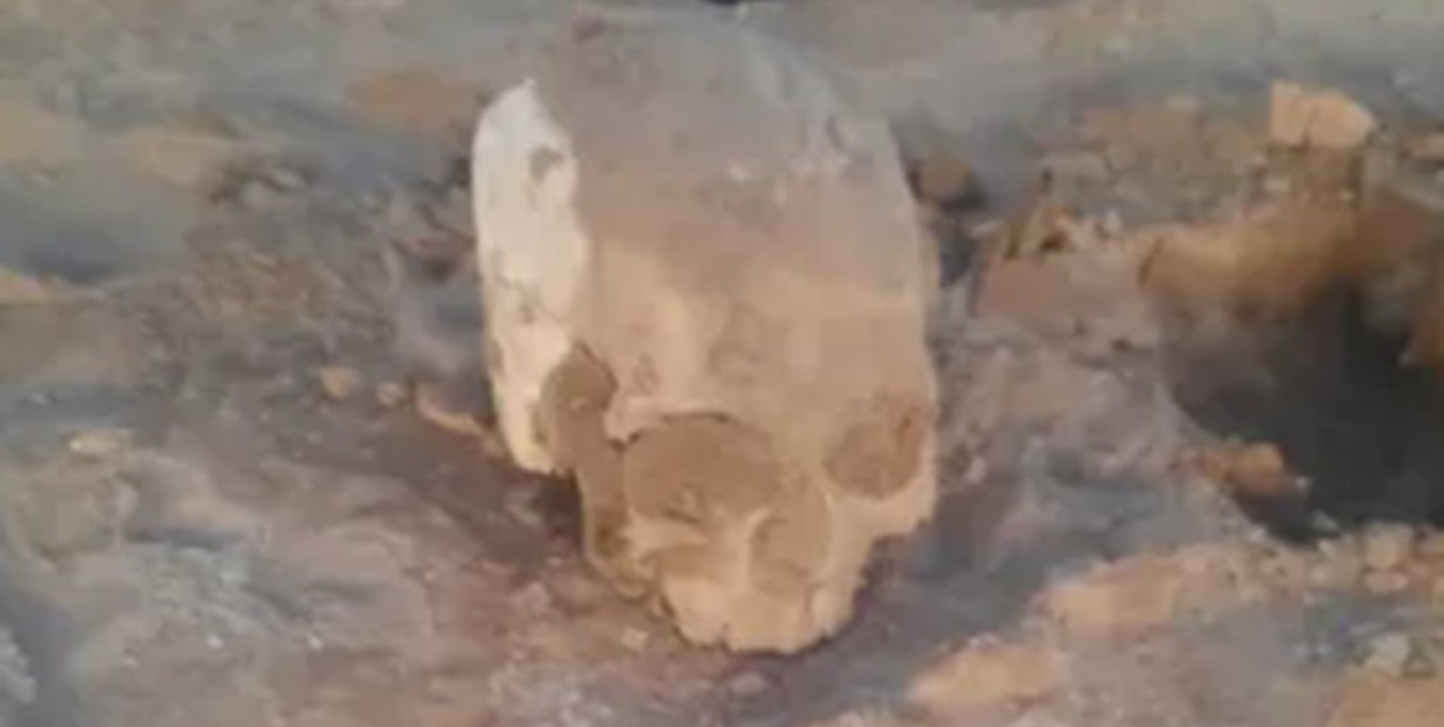 Investigan si un cráneo hallado con un disparo en San Juan es del ingeniero Raúl Tellechea