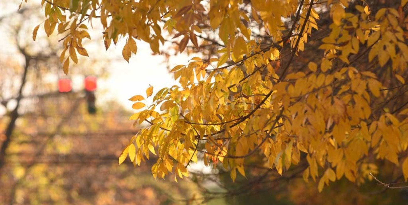 Humedad y viento sur para este sábado en la ciudad de Santa Fe