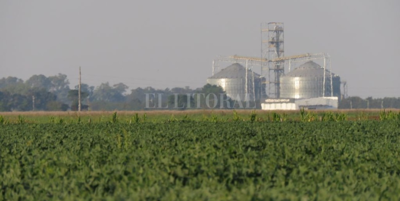 Uno de cada cuatro pesos se genera en la Región Centro