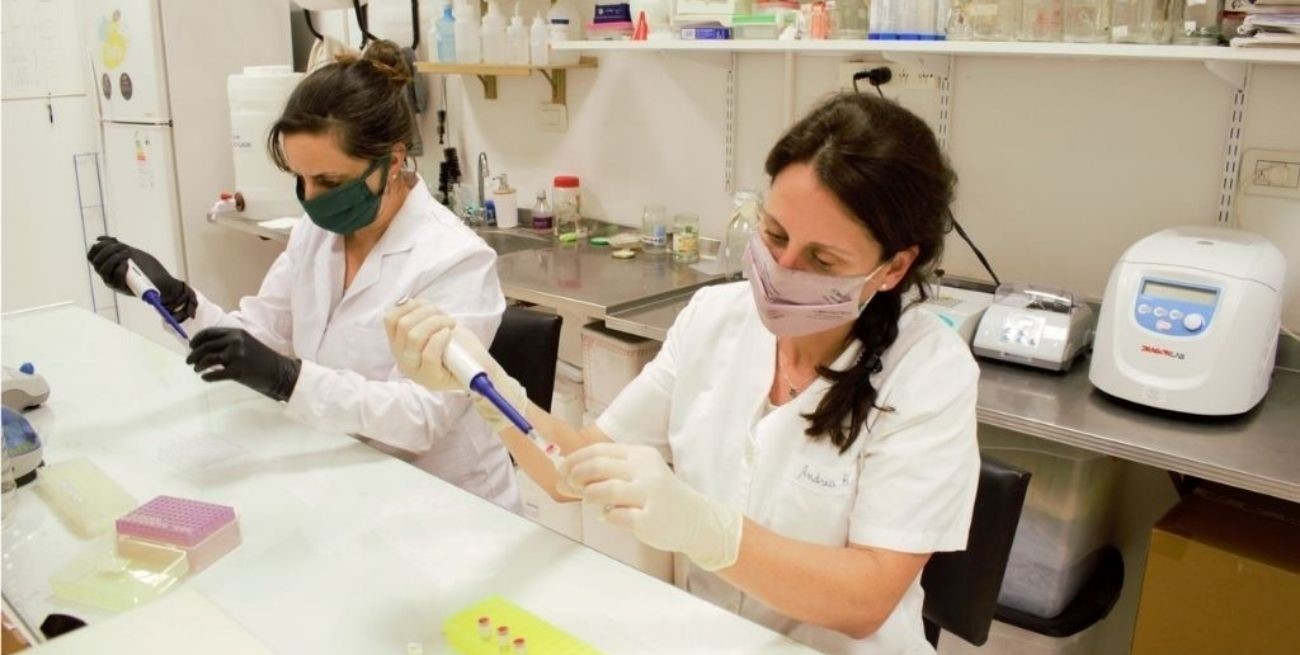 Covid 19: Omicron pegó más en quienes tenían menos anticuerpos