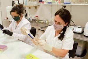 Laboratorio. Primero tomaron las muestras en los barrios de la ciudad, luego fueron analizadas en el laboratorio y finalmente arribaron a las conclusiones.