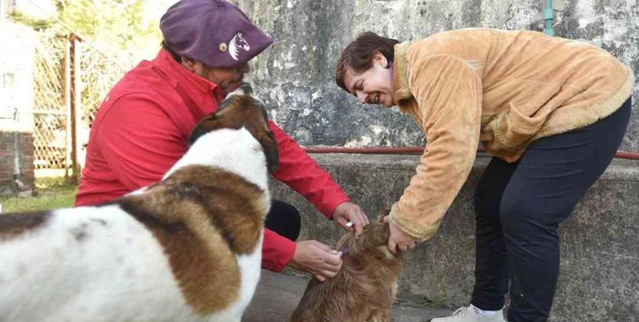 Otro caso de murciélago con rabia en la ciudad de Santa Fe