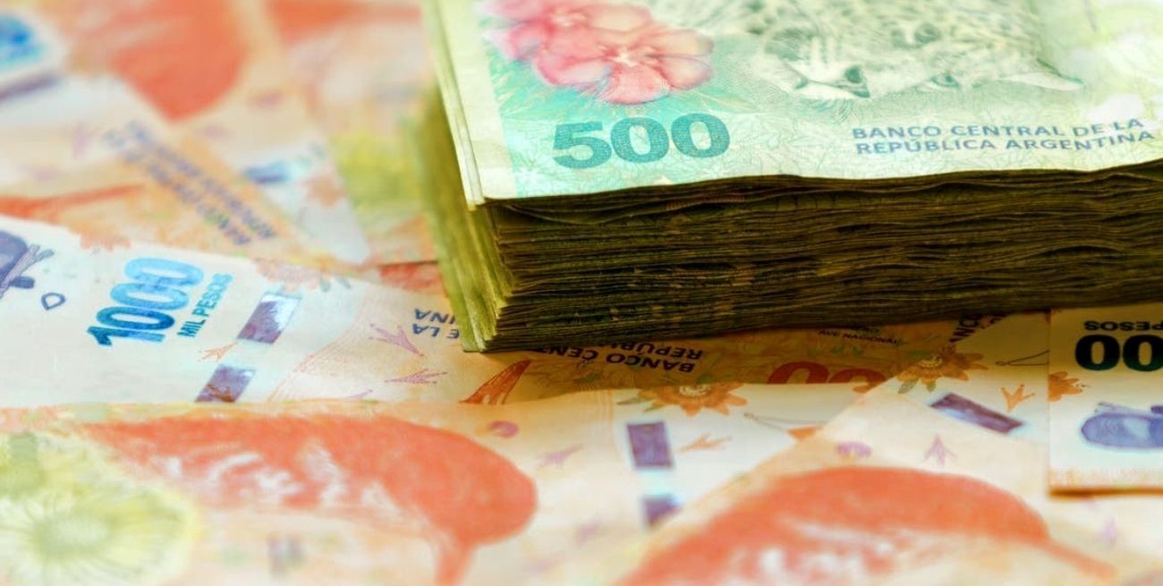 Reemplazarían los billetes con animales por próceres e incluirían mujeres