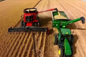 Créditos: Gentileza