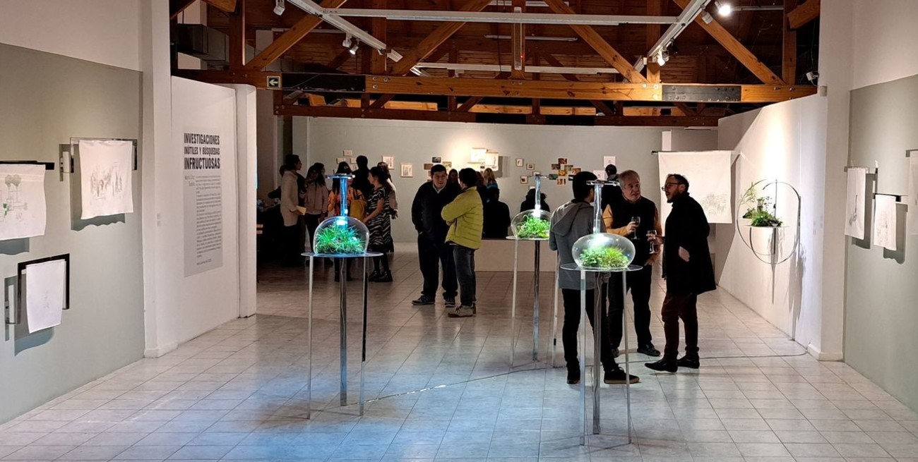 Artista santafesina expone en San Martín de los Andes	