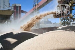 El gobierno vuelve a poner en agenda el tema retenciones. Crédito: Noticias Argentinas