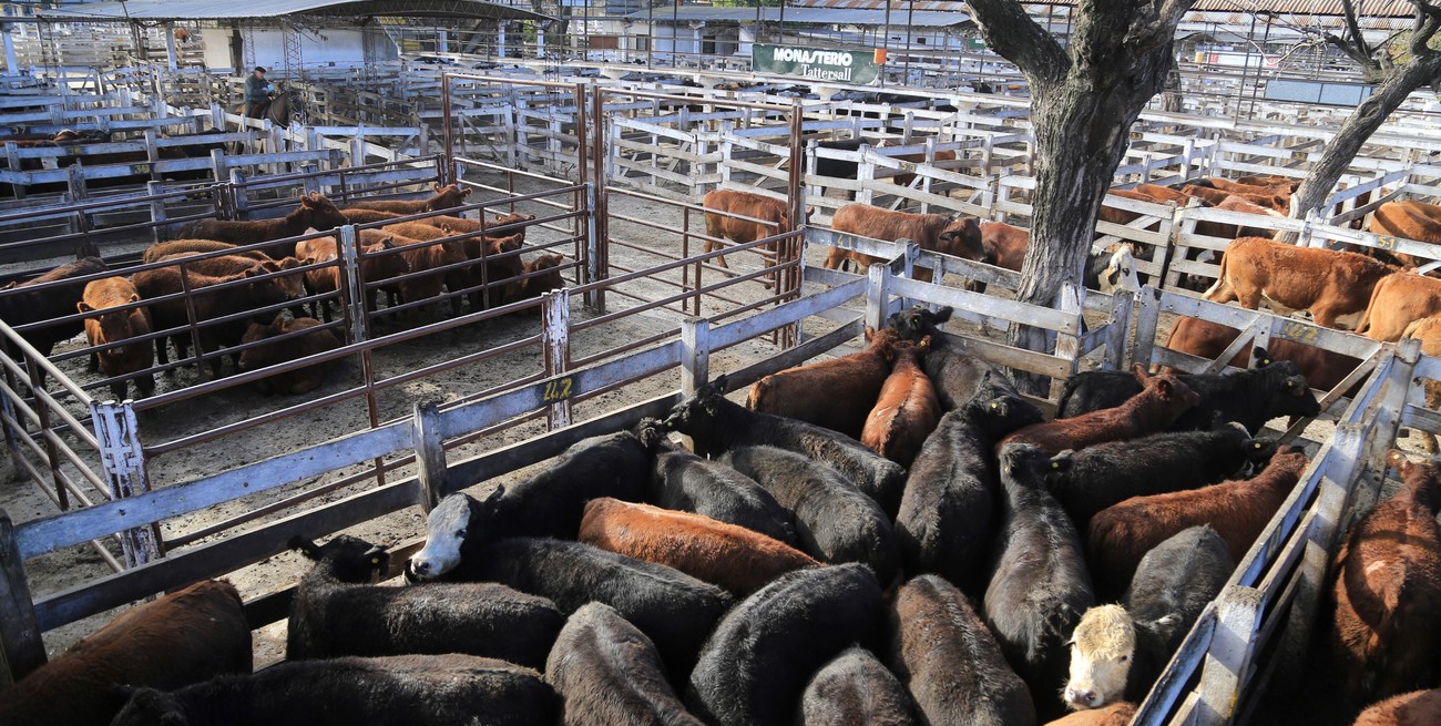 La Sociedad Rural apuesta a un armado nacional para fortalecer sus propuestas