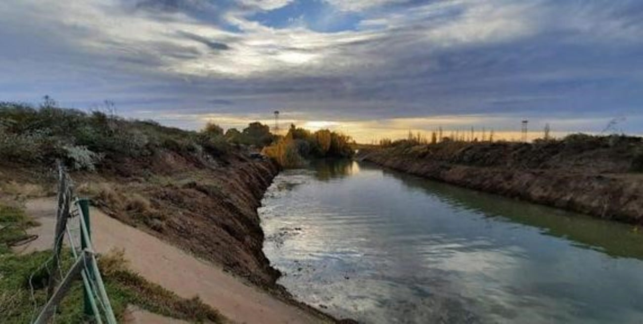 Río Negro: tuvo un accidente y tres perros lo salvaron de morir de hipotermia