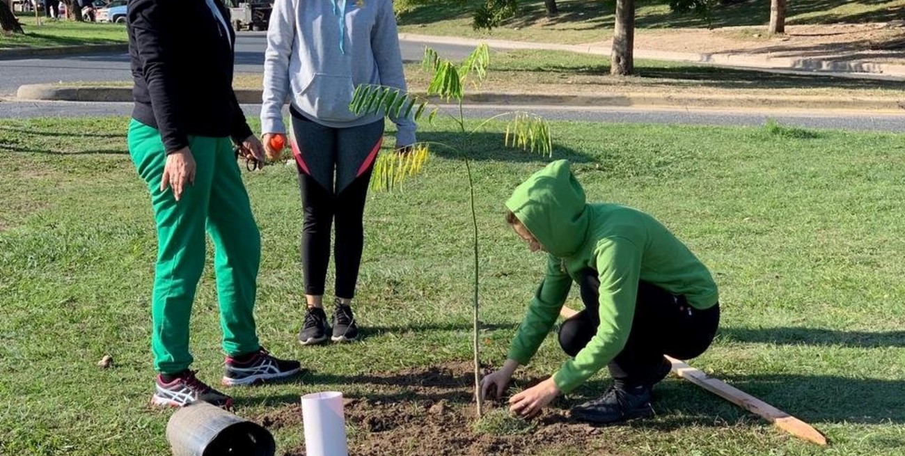 Vecinos plantaron árboles para forestar Santa Fe y suman voluntarios para regarlos