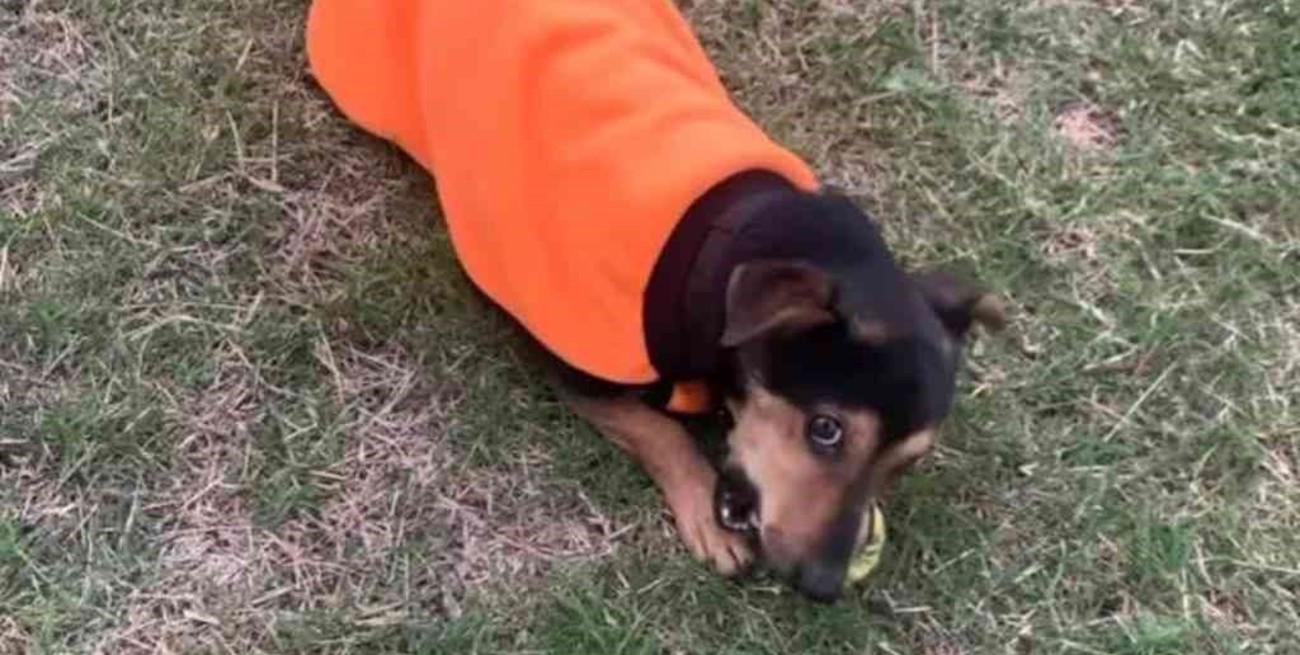 A la espera de ser liberado, así pasa los días de cuarentena “Coco”