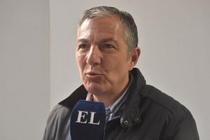 Pusineri evaluó, con números, el primer año de la vigencia de la reforma al sistema de ART en la provincia. Crédito: Flavio Raina.