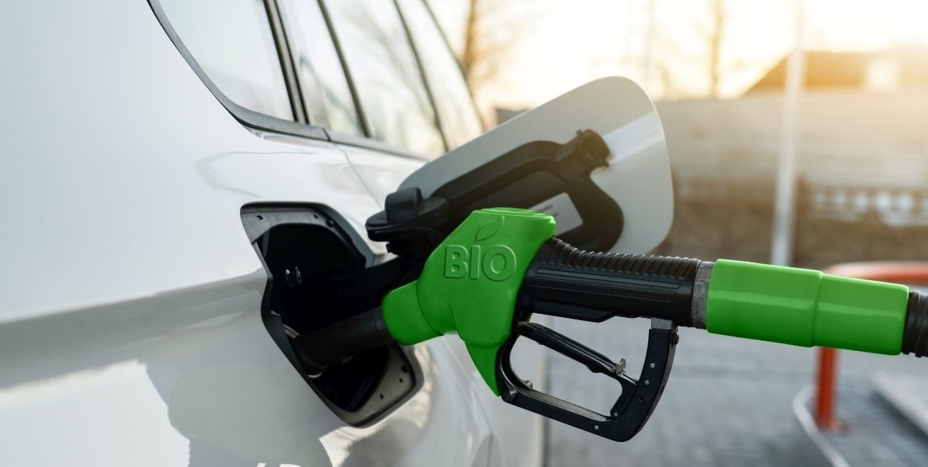 Para hacer frente al faltante de gasoil proponen el uso de biocombustibles