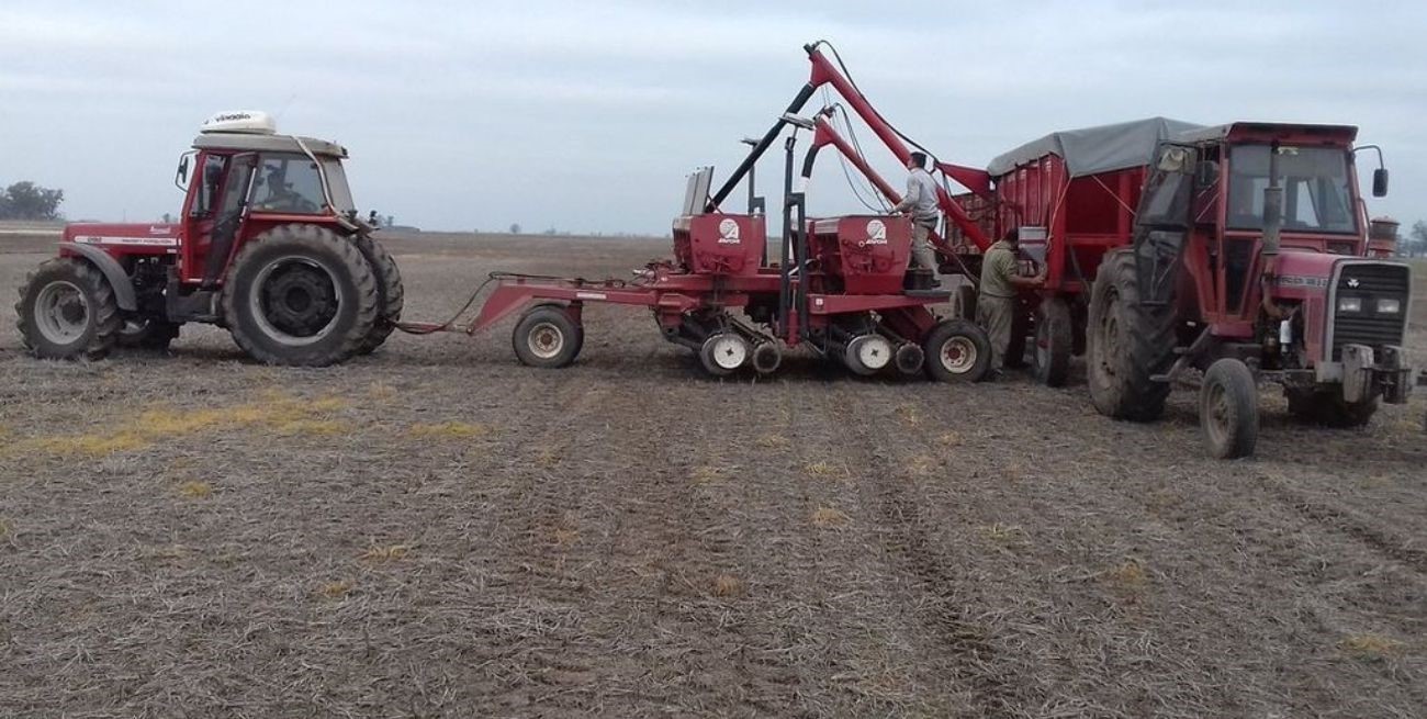 Sin lluvias, crece la incertidumbre agrícola