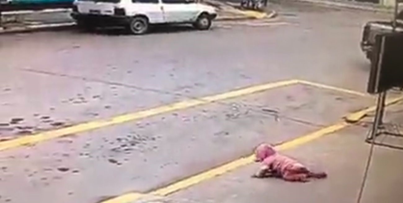 Milagro en la vía pública: salvó a una beba que cruzó la calle gateando