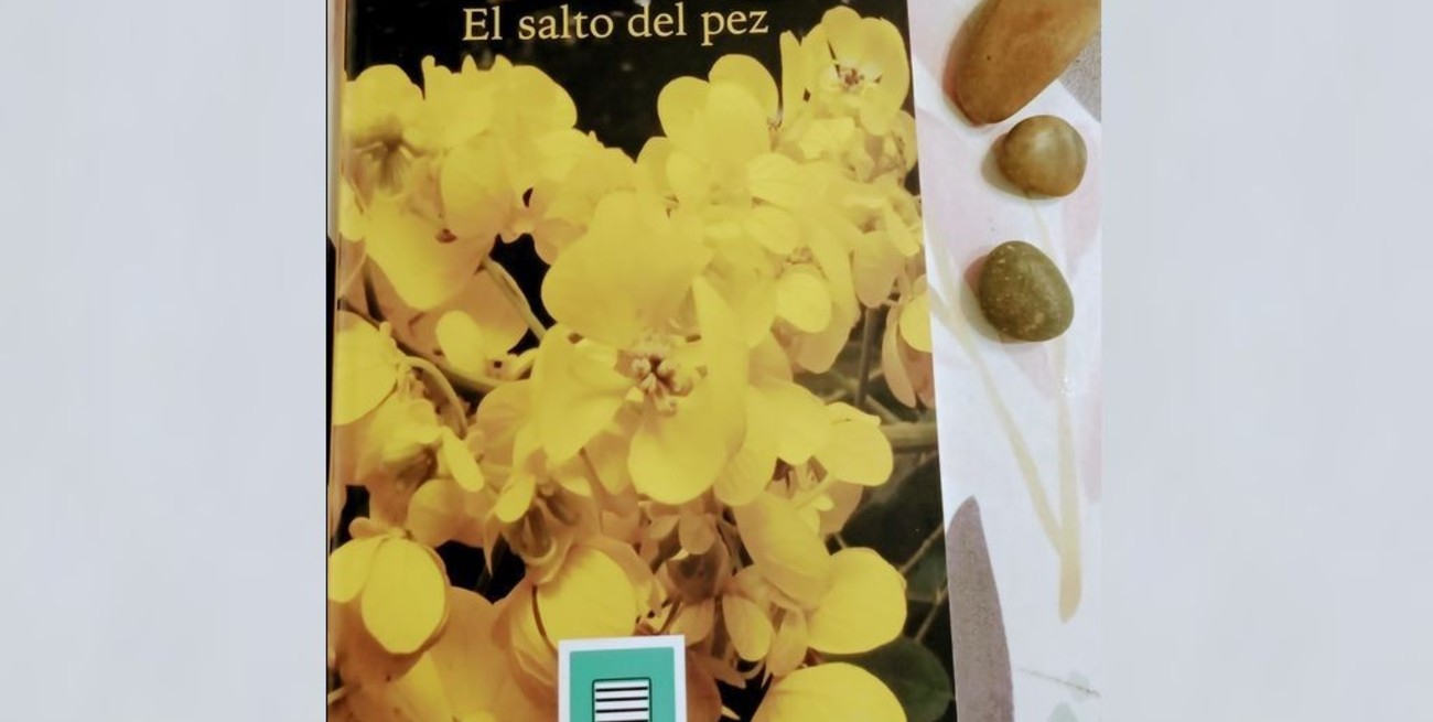 Un salto entre los días de la vida