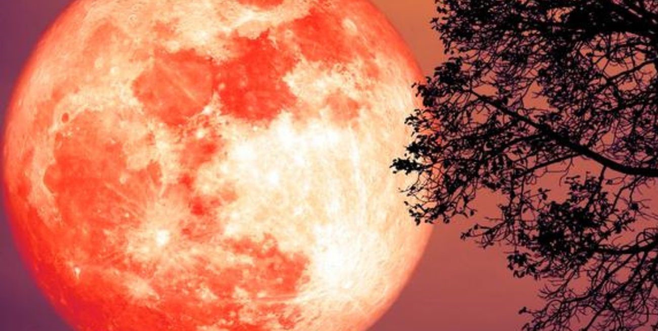 Llega la superluna de fresa: cómo y cuándo se podrá ver