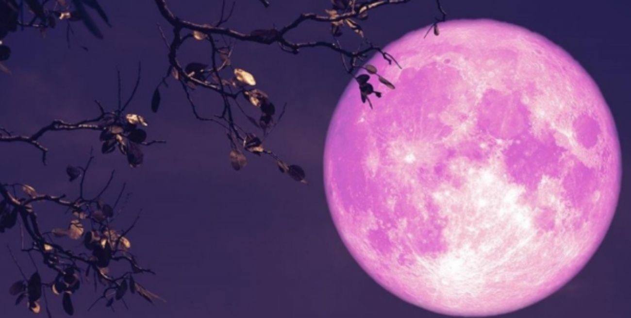 Llega la Superluna de fresa este martes a Argentina