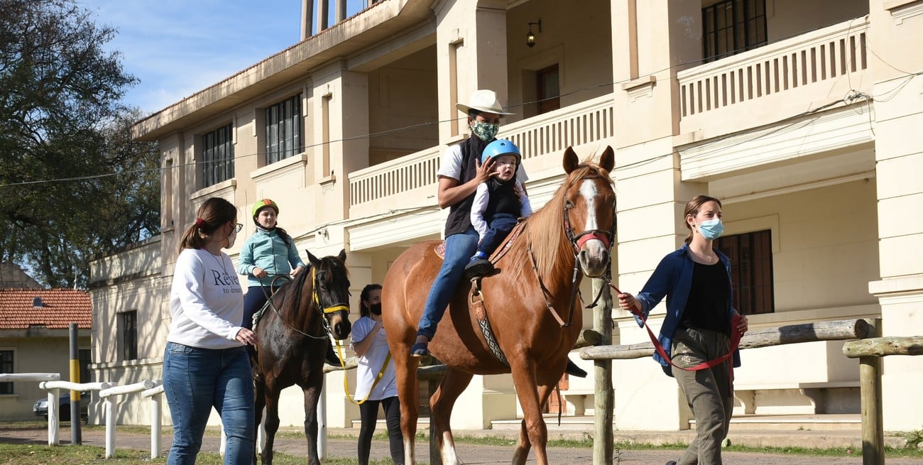 Equinoterapia: una alternativa terapéutica para el tratamiento de patologías