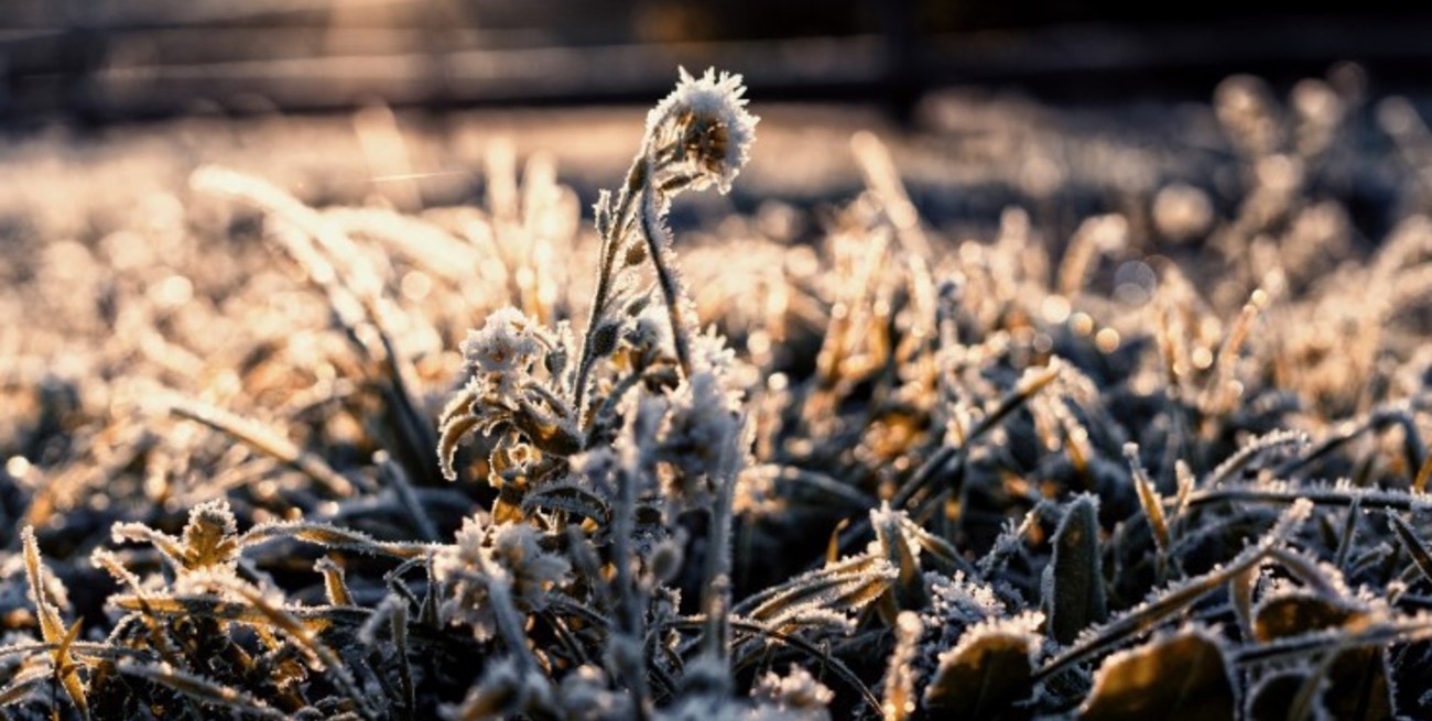 El SMN anunció la llegada de una nueva ola de frío polar a la Argentina