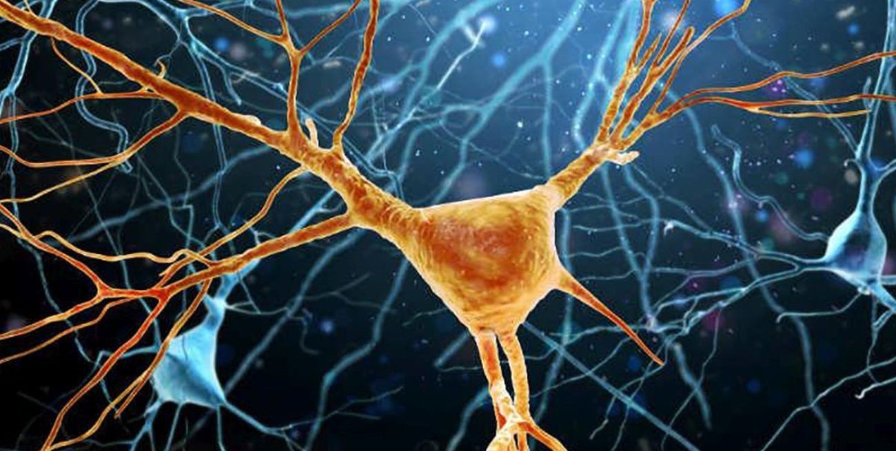 Día Mundial de Lucha contra la ELA: cuáles son sus síntomas y quiénes pueden padecerla