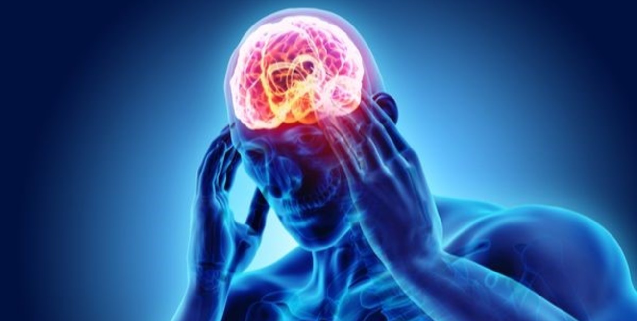 El estrés social podría envejecer prematuramente tu sistema inmunológico