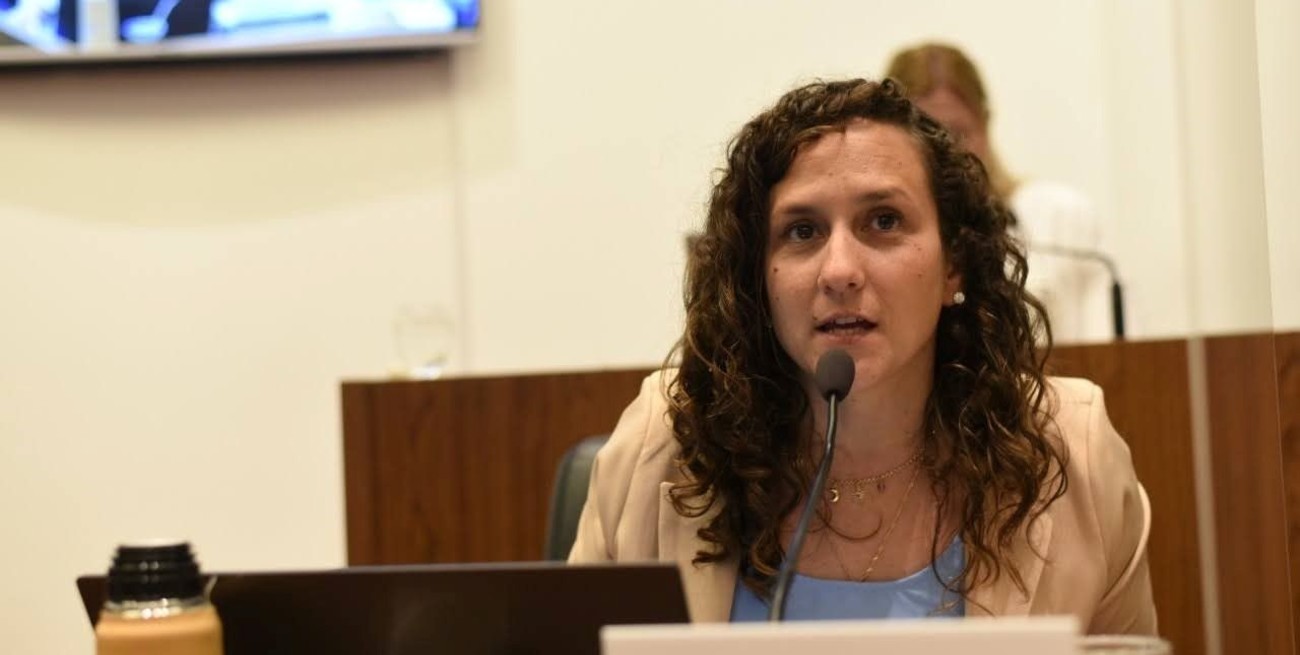 Piden que la Sube se pueda cargar con Billetera Santa Fe