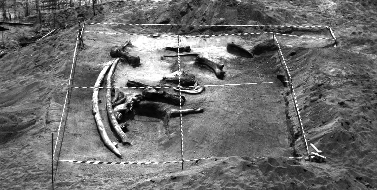 Un "bicho raro" y colmillos en Guadalupe: día de curiosos hallazgo hace 85 años en la ciudad