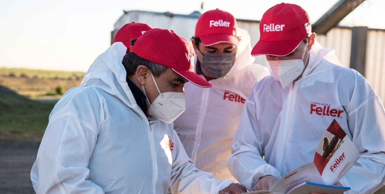 Grupo Motta mejora cada día la Industria Avícola Argentina