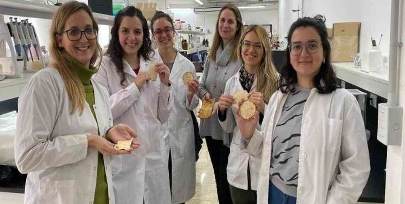 Científicas santafesinas lograron desarrollar un cuero amigable con el medio ambiente