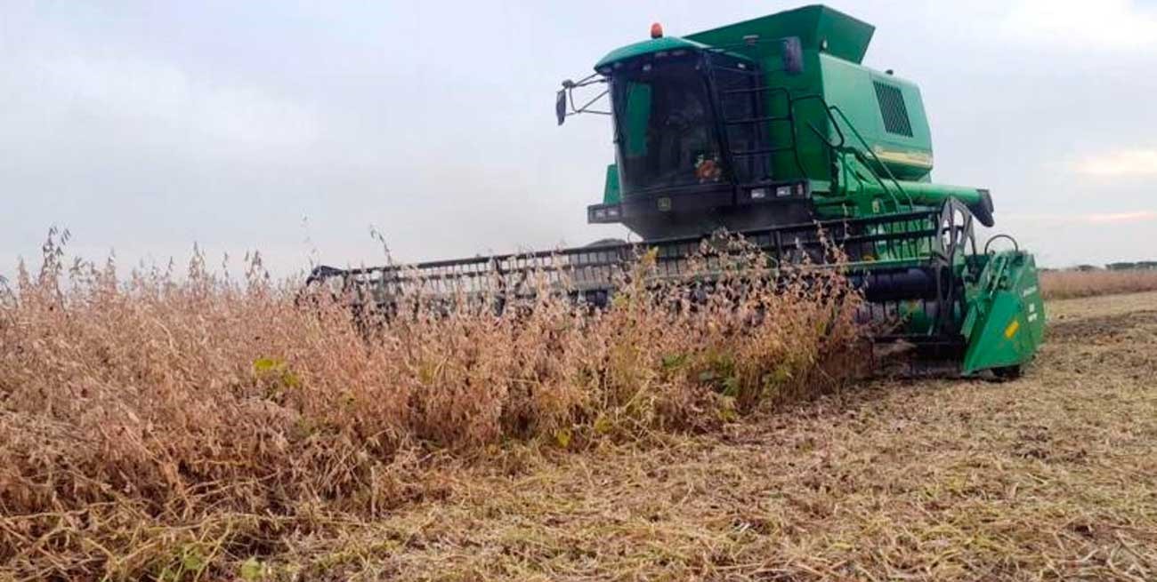 Los precios salvaron la campaña sojera