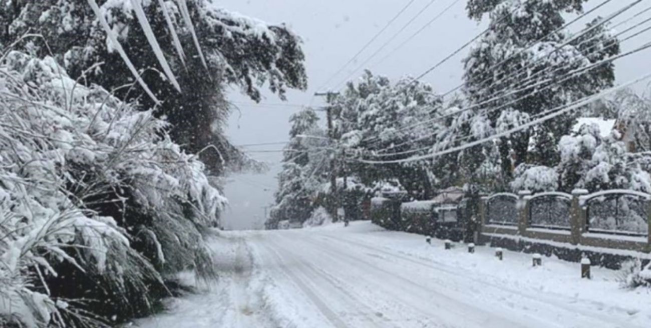 Más de 500 agentes de AFIP buscarán evasores en los centros turísticos del país