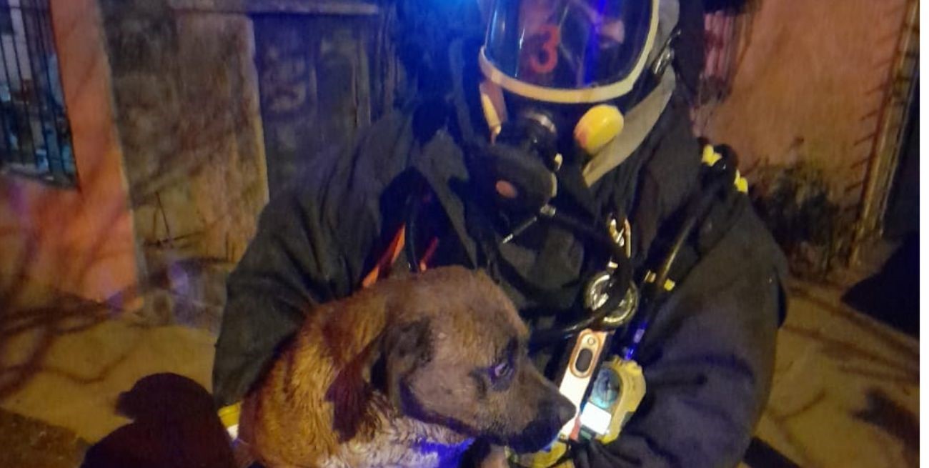 Rescate de un perro atrapado en un incendio en Rafaela