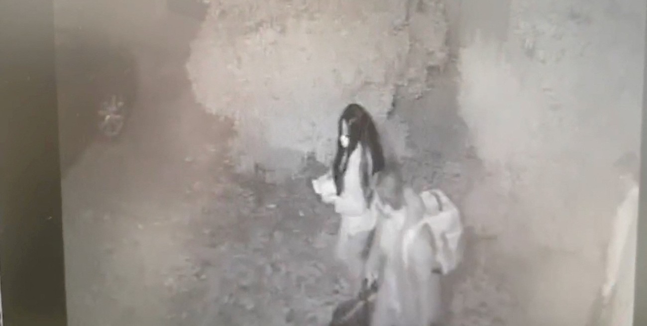 Video: así fue como una modelo mexicana y su novio rumano se robaron millones de dólares en botellas de vino