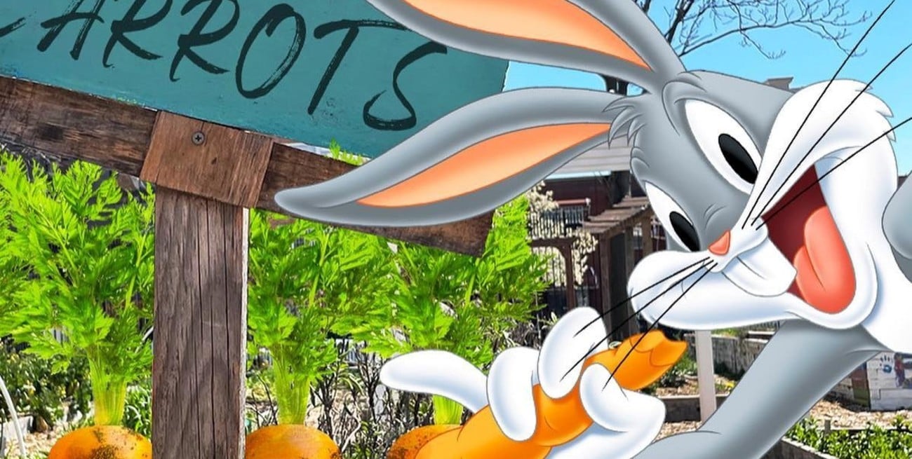 Bugs Bunny, el conejo más famoso del mundo, cumple 82 años